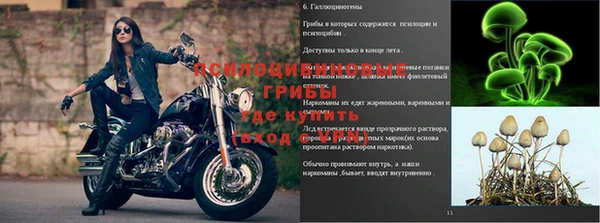 марки nbome Белокуриха