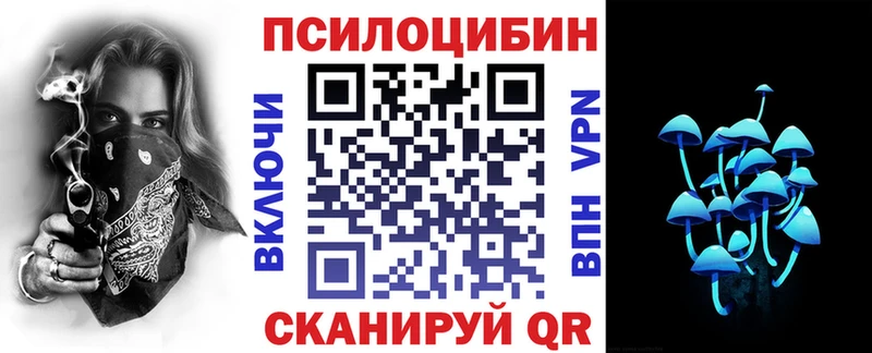 где купить   Чишмы  Псилоцибиновые грибы мицелий 